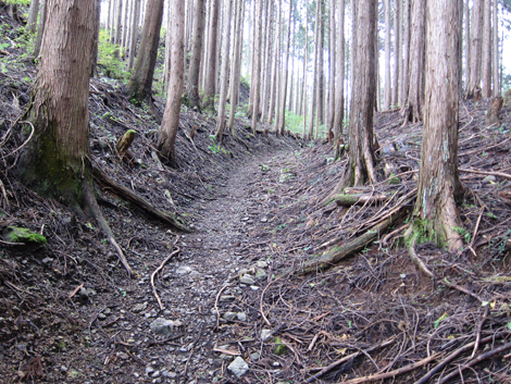 20191031hike (265)